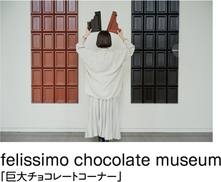 felissimo chocolate museum 巨大チョコレートコーナー